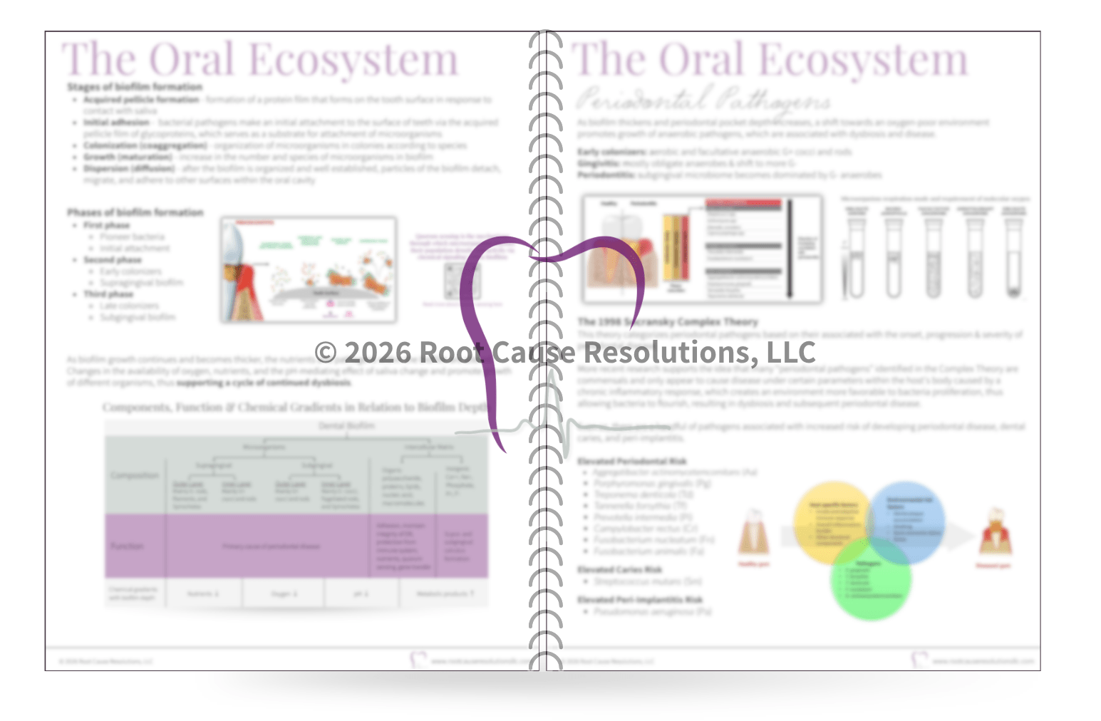 Airway Integration Masterclass™ Bundle - Root Cause Resolutions, LLC