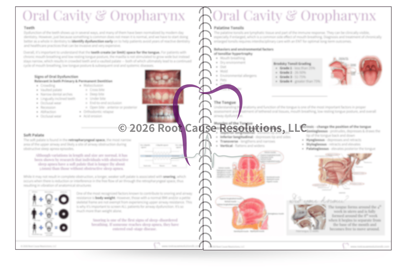 Airway Integration Masterclass™ Bundle - Root Cause Resolutions, LLC